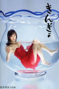 free hd xxxx tube